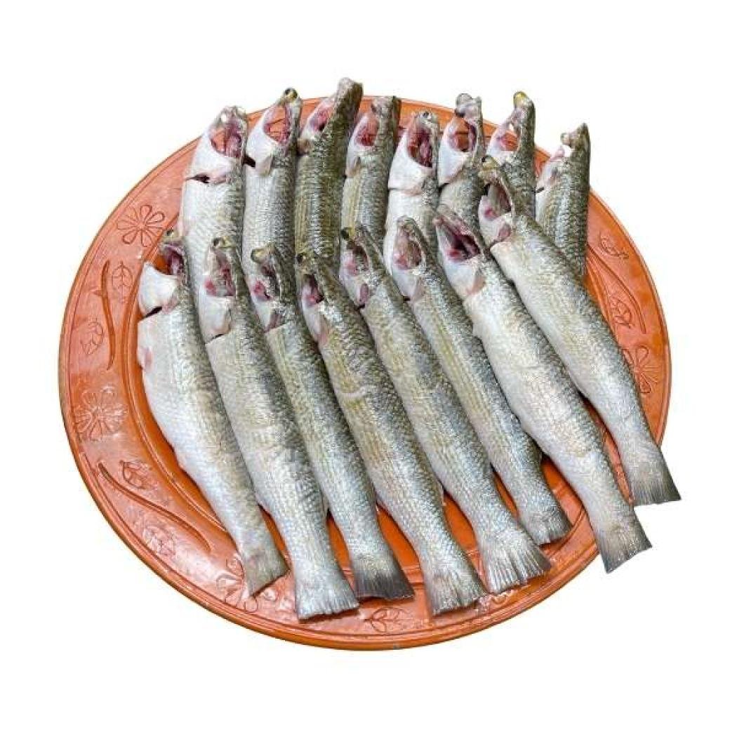 বাটা মাছ